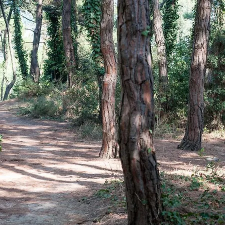 Hotel Regina E Ristorante 3*