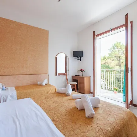 Hotel Regina E Ristorante 3*