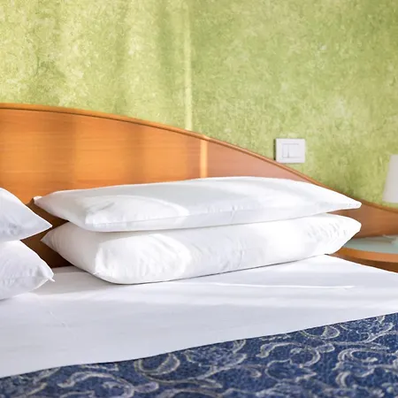 Hotel Regina E Ristorante 3*