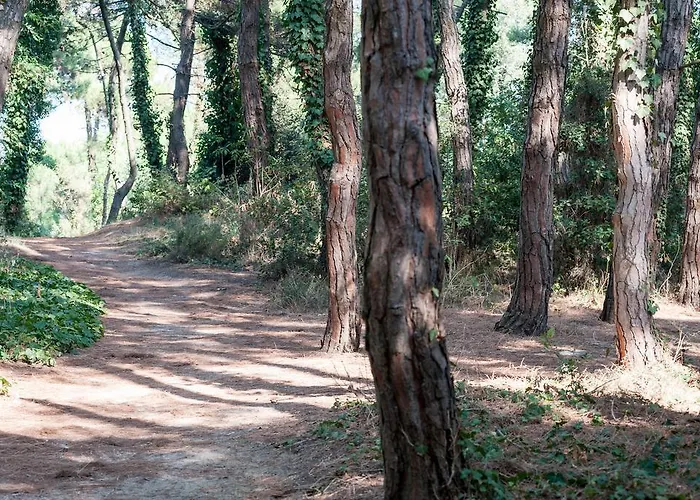 Hotell Regina E Ristorante 3*